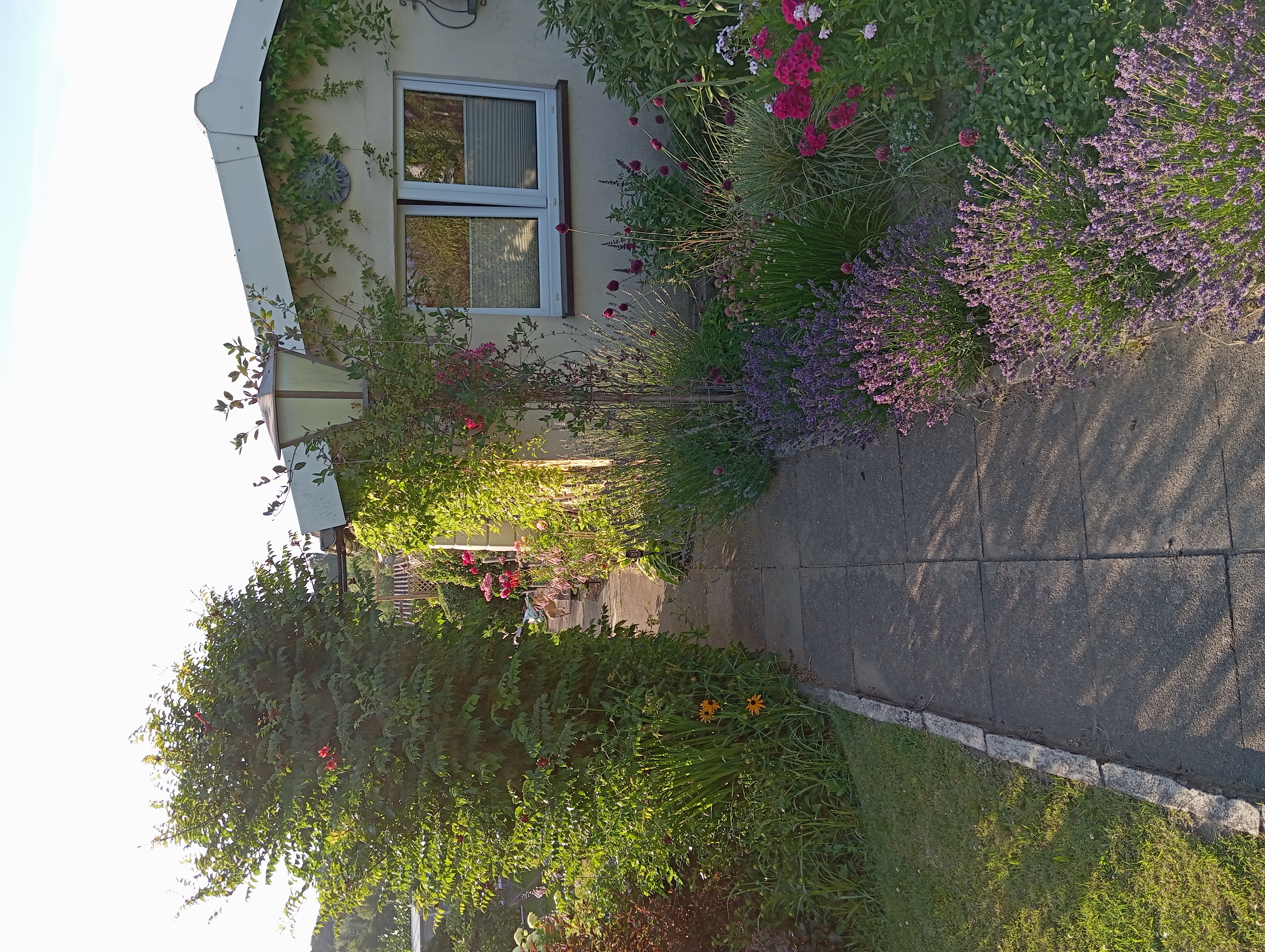 Parzelle 59 - Bild 4